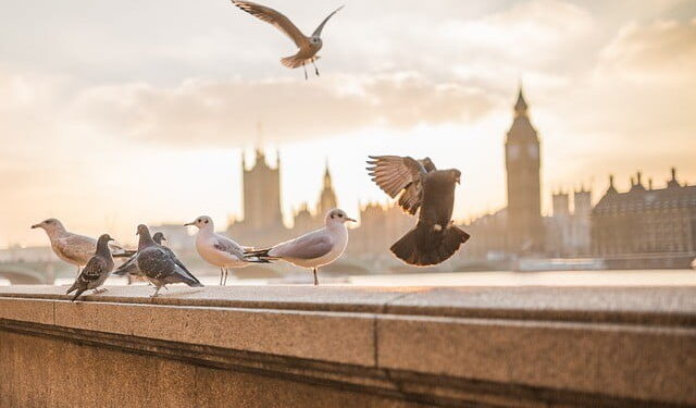 Upcoming Festival and Event Calendar in London