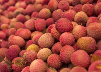 lychee photo