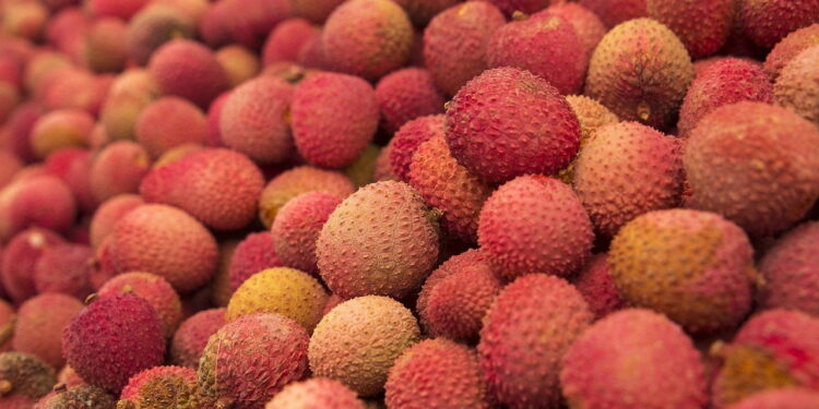 lychee photo