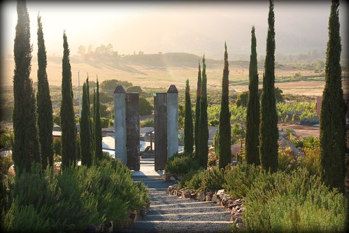 Valle de Guadalupe, Baja California