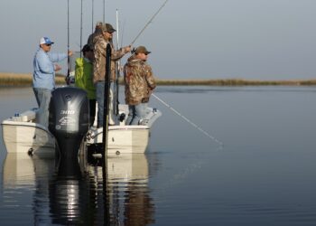 Explore Australia’s Natural Beauty: Exciting Travel and Leisure Activities