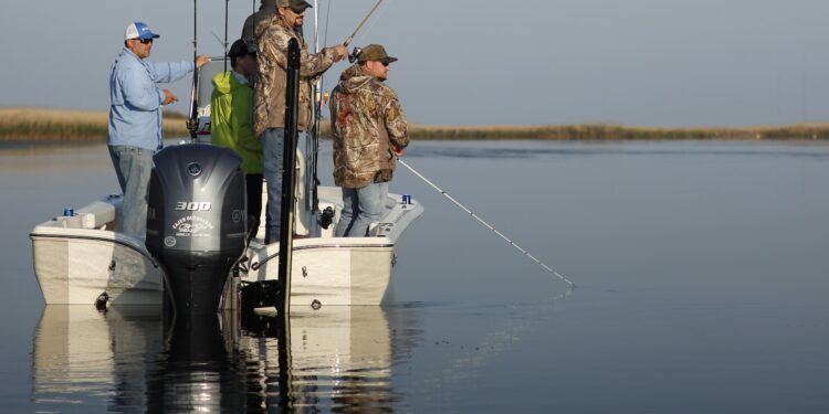 Explore Australia’s Natural Beauty: Exciting Travel and Leisure Activities