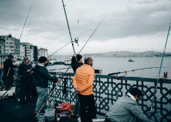 An Adventurer’s Guide to Outdoor Activities in Australia