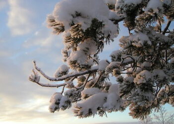 Fun Things To Do On A Christmas Holiday In Lapland