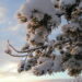 Fun Things To Do On A Christmas Holiday In Lapland