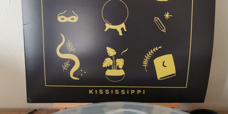 Pros and cons of record players and vinyl - Kississippi - We Have No Future, We