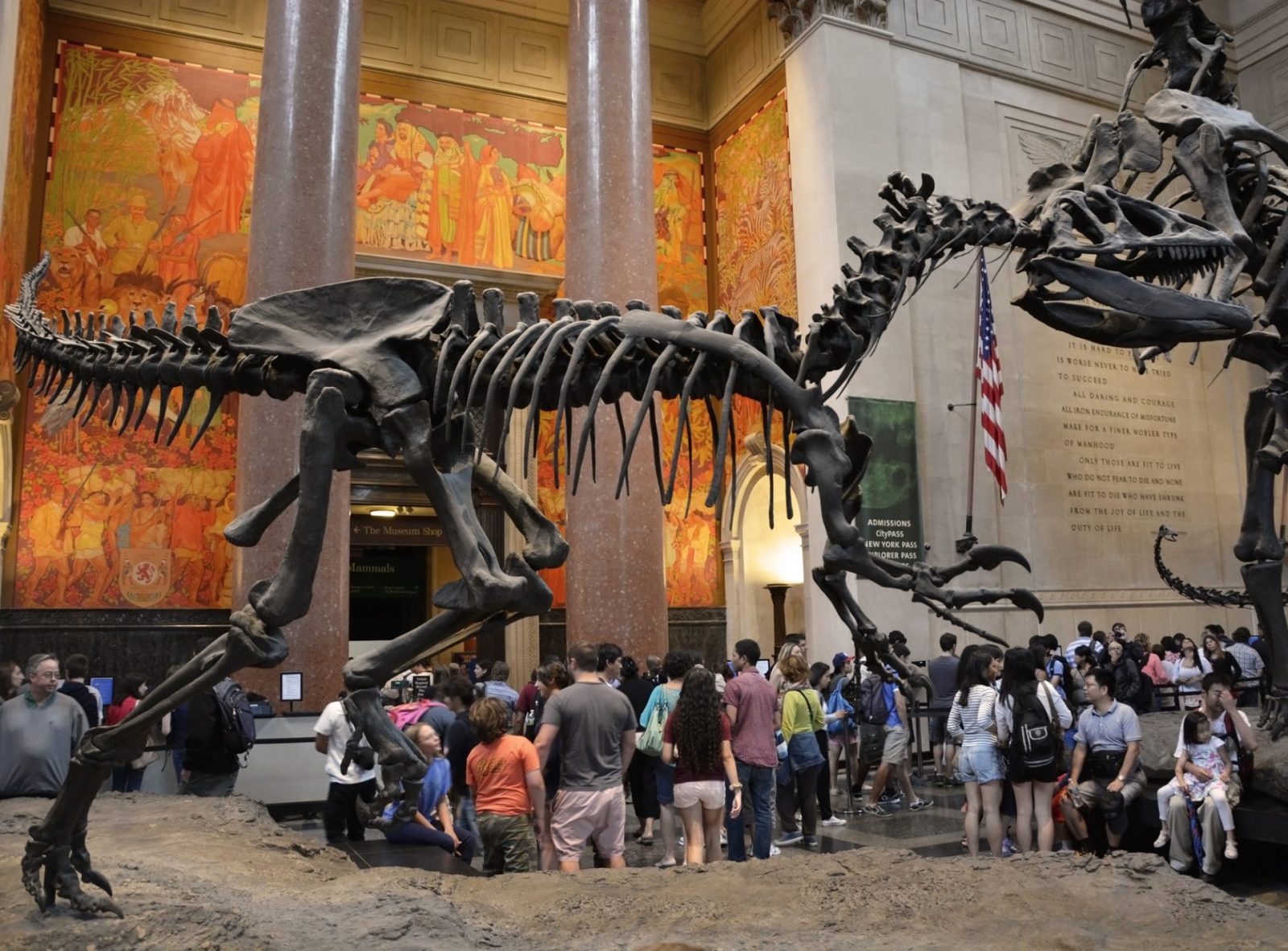 American Museum of Natural History – dinosaur shot
