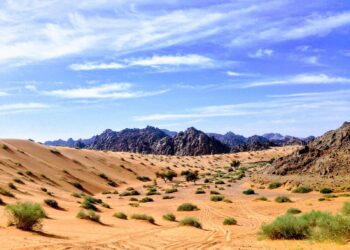 sand dune and mountain scenery