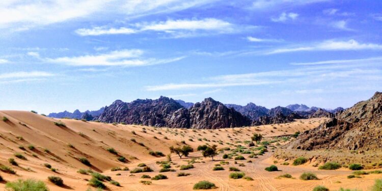 sand dune and mountain scenery