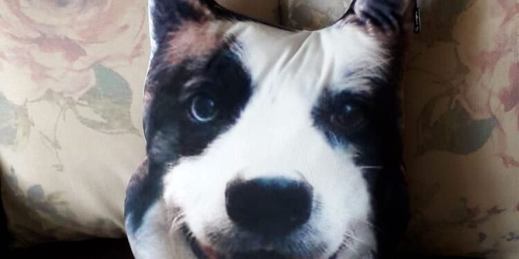 Dogsy Review – I Turned My Dog’s Face Into a Personalised Pillow