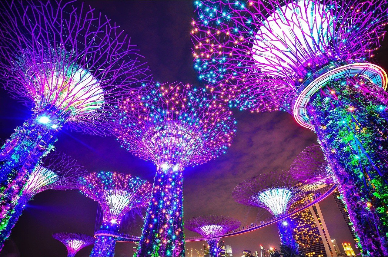 singapore Gardens by the Bay photo