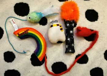 Gus & Bella Box Review: The Best Cat Box Subscription?