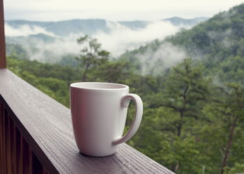 4 Tips to Unwind on Your Tennessee Vacation