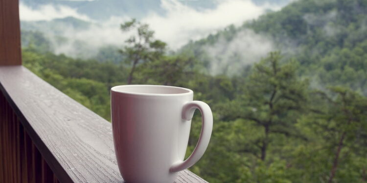 4 Tips to Unwind on Your Tennessee Vacation