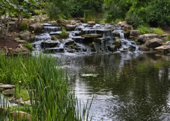 5 Incredible Fun Activities To Try In Pigeon Forge