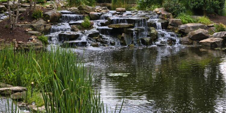 5 Incredible Fun Activities To Try In Pigeon Forge