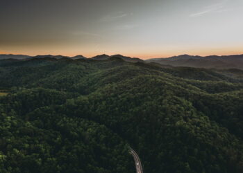 green trees on mountain during daytime