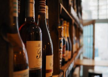 7 Best Wine Suitcase + FAQ