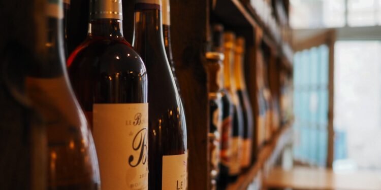 7 Best Wine Suitcase + FAQ