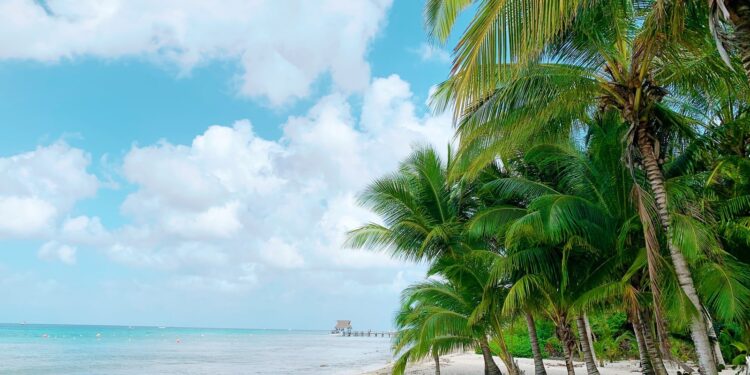 4 Best Cancun Hot Spots At An Affordable Price