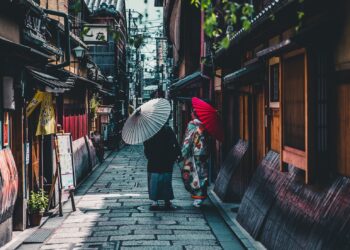 person walking on street while holding umbrella