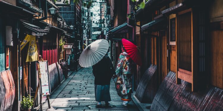 person walking on street while holding umbrella