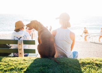 short-coated brown dog sit beside person wearing white tank top near beach during daytime