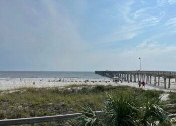 7 Things To Do With The Family In Panama City Beach!