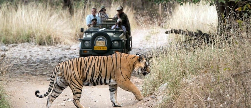 Wildlife (Haridwar Rishikesh Tourism)