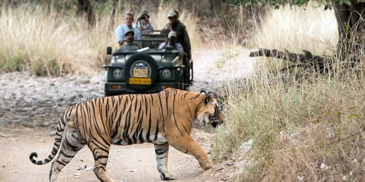 Wildlife (Haridwar Rishikesh Tourism)