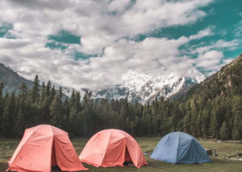green pine trees under white clouds and blue sky during daytime