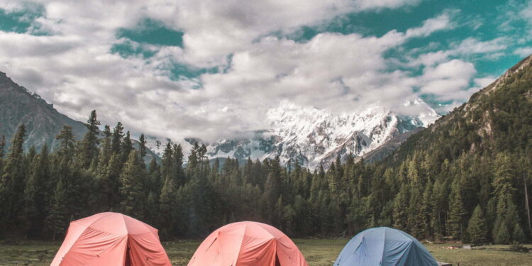 green pine trees under white clouds and blue sky during daytime