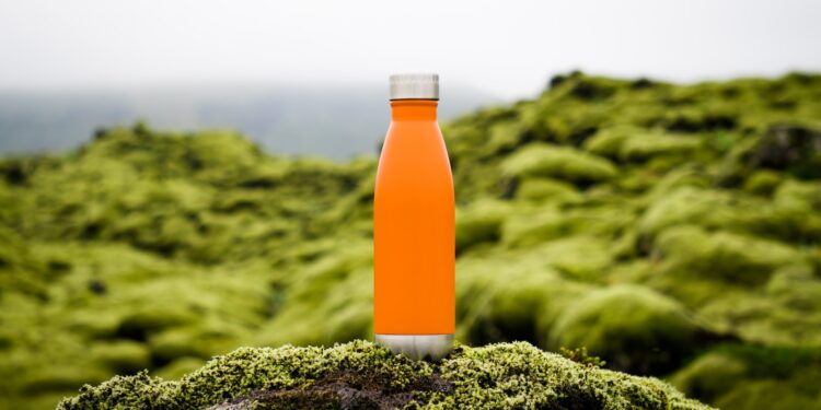 orange tumbler on green moss