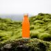 orange tumbler on green moss