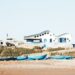 blue boats docked near the seashore