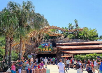 5 Free Things to do in Orlando