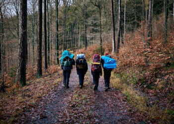 people walking on dirt road between trees during daytime