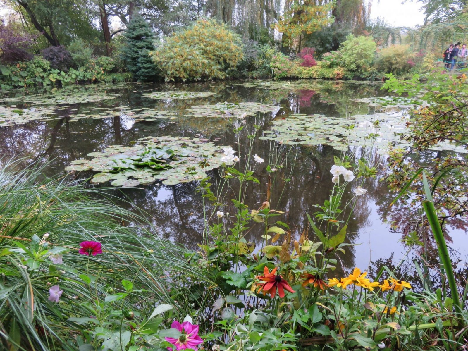 Water Lily Pond in Giverny