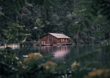 Factors That Decide the Perfect Space For In Where Should I Live Quiz