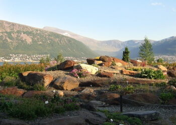 3 Most Unusual And Unique Gardens In The World