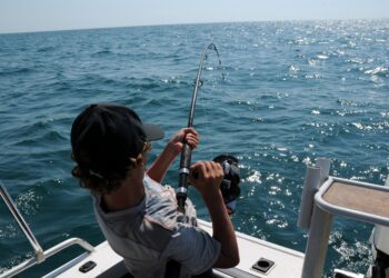 5 Best Locations in the World for Deep-Sea Fishing Charters