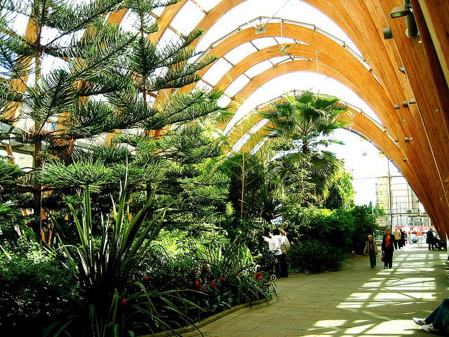 Winter gardens in Sheffield