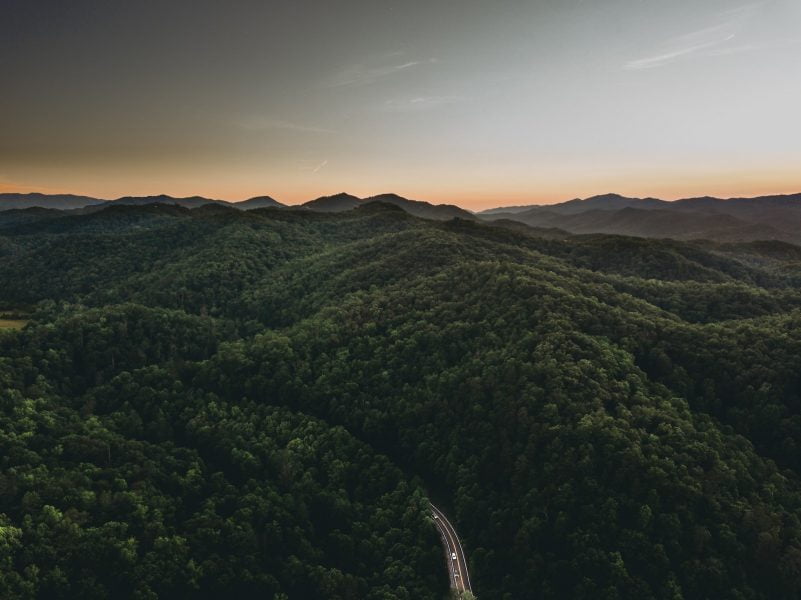 green trees on mountain during daytime