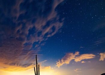 tom-gainor-781539-unsplash