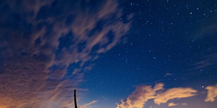 tom-gainor-781539-unsplash