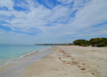 Best Tours and Attractions in Jamaica