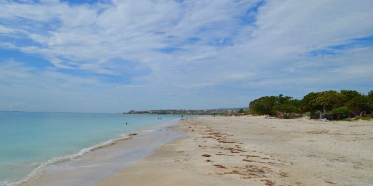 Best Tours and Attractions in Jamaica