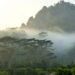 Discover Borobudur – home to one of the greatest Buddhist monuments in the world