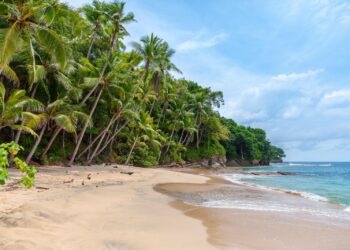 One with the Sea: Exploring the Paradise of Tahiti