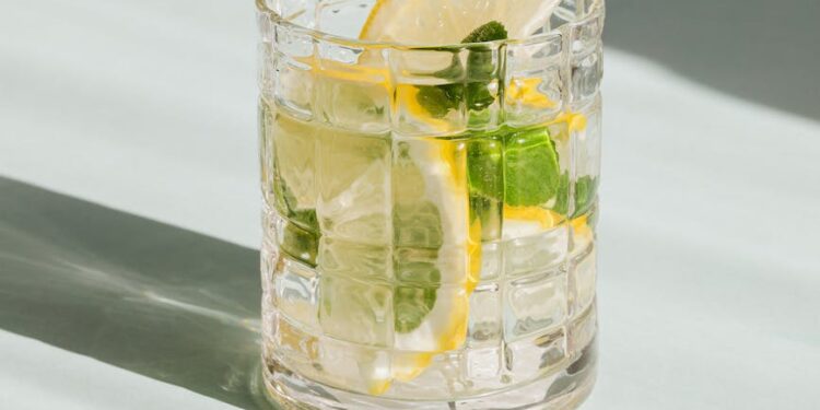 Reasons to Visit a Gin Distillery in Australia